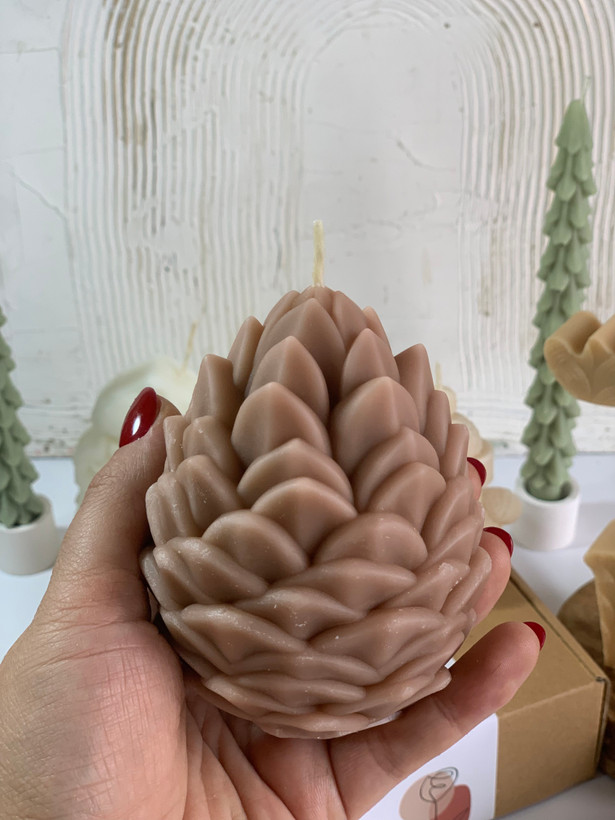 شمع دونه کاج بزرگ